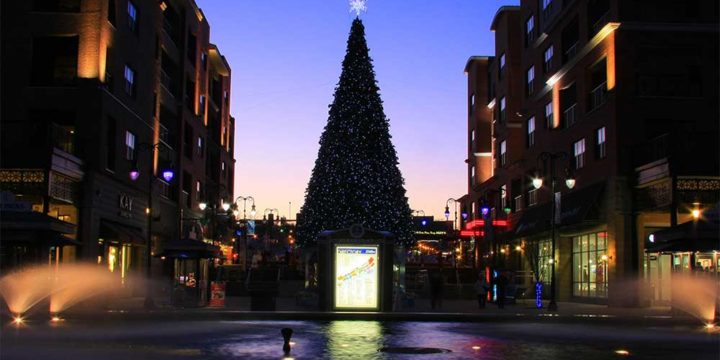 Branson’s Christmas Tree Tour is Back and Brighter Than Ever Before!