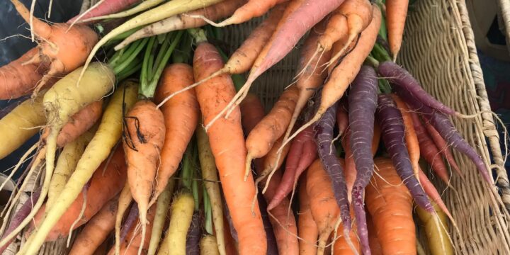 Farmers Market Sharing 2022’s Fall Harvest on the Taneycomo Lakefront