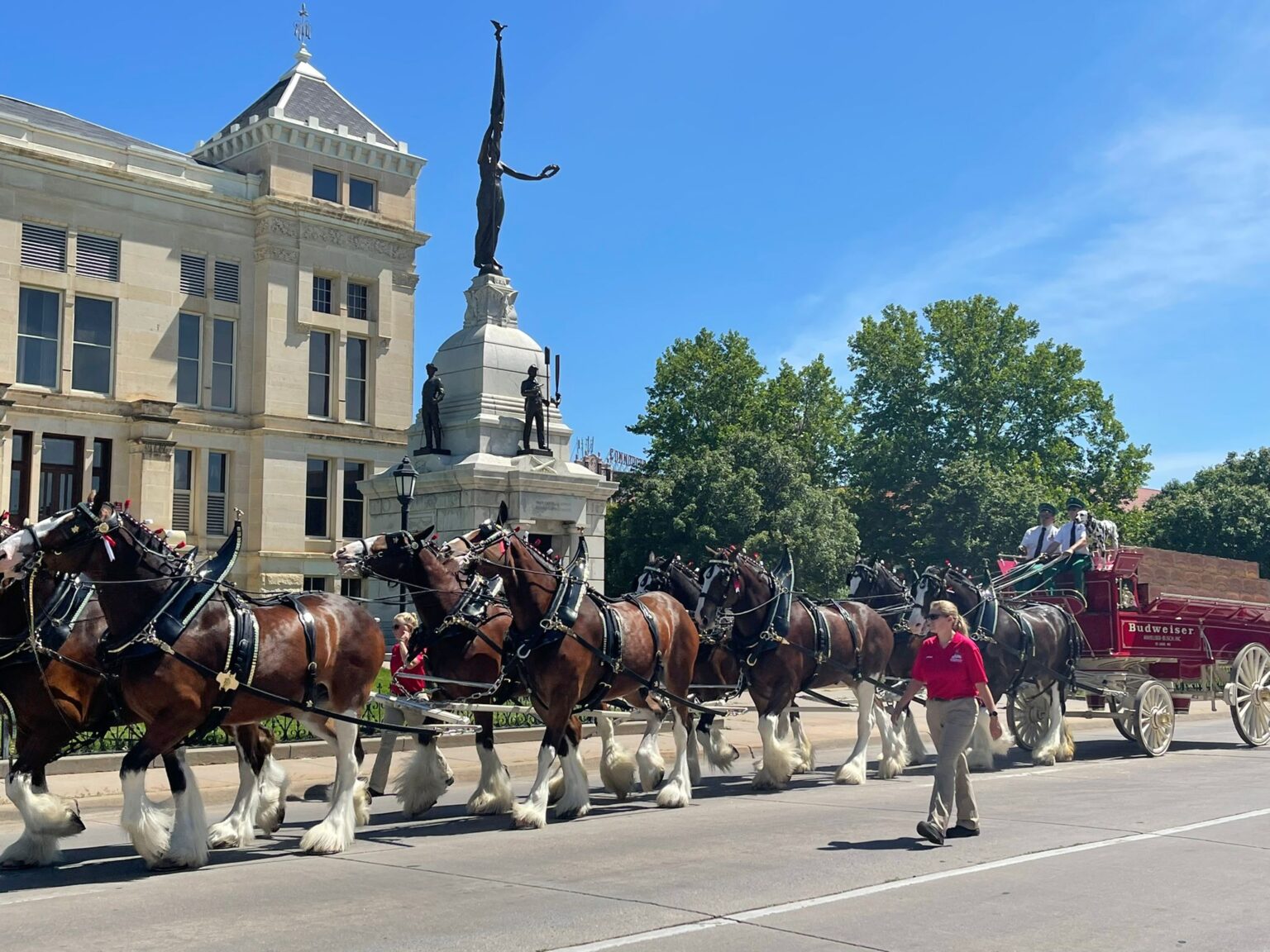 WorldFamous Budweiser Clydesdales Coming to Downtown Branson RideSparky