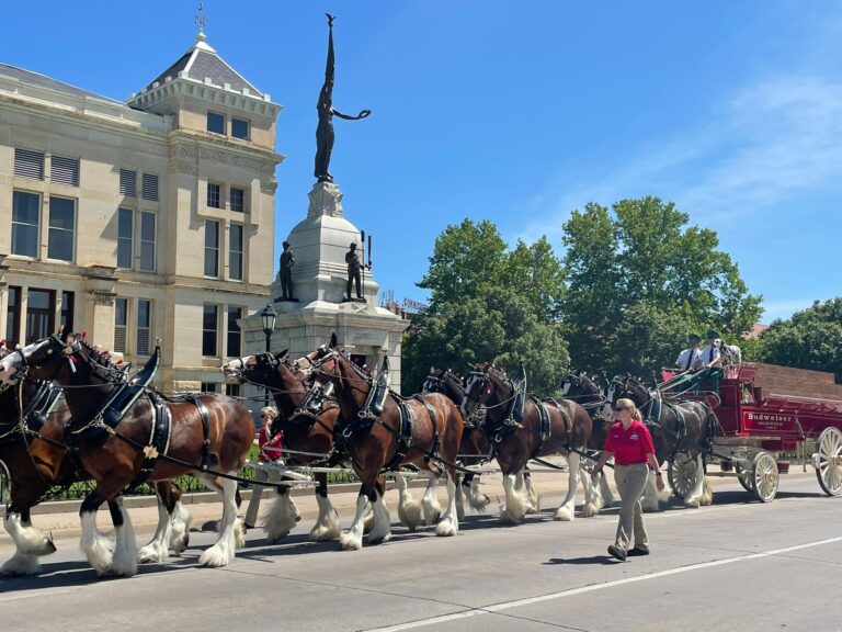 world-famous-budweiser-clydesdales-coming-to-downtown-branson-ridesparky