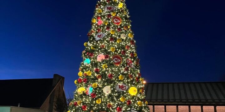 Great Christmas Trees in Downtown Branson