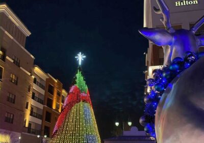 Explore Branson’s Christmas Tree Trail: Downtown’s Dazzling Sights and Lights