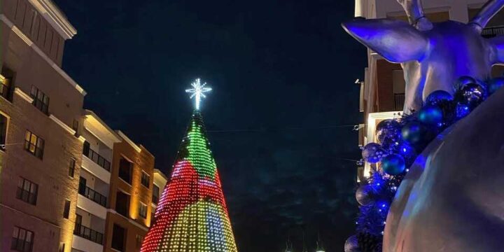 Explore Branson’s Christmas Tree Trail: Downtown’s Dazzling Sights and Lights