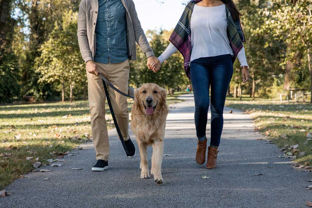 A dog and his family walking along Lake Taneycomo in North Beach Park.