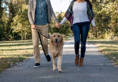 Quiet Spots Along Lake Taneycomo: Where to Find Peace & Serenity